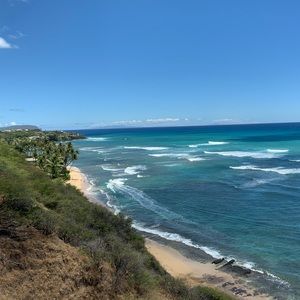 Meet your Posher, Larry